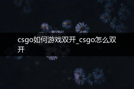 csgo如何游戏双开_csgo怎么双开