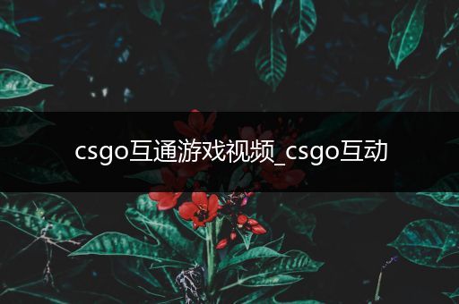 csgo互通游戏视频_csgo互动