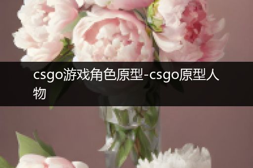 csgo游戏角色原型-csgo原型人物