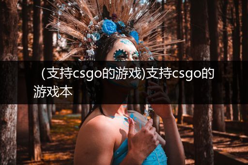 （支持csgo的游戏)支持csgo的游戏本