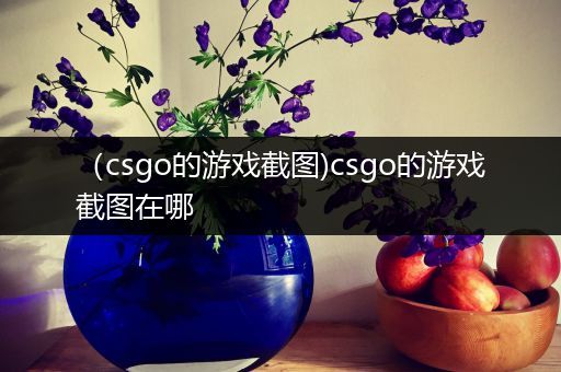（csgo的游戏截图)csgo的游戏截图在哪