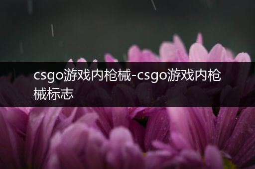 csgo游戏内枪械-csgo游戏内枪械标志