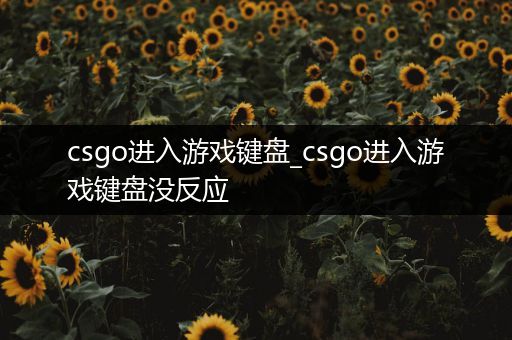 csgo进入游戏键盘_csgo进入游戏键盘没反应