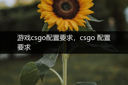 游戏csgo配置要求，csgo 配置要求