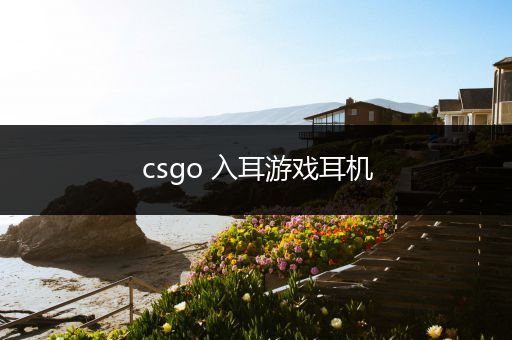 csgo 入耳游戏耳机