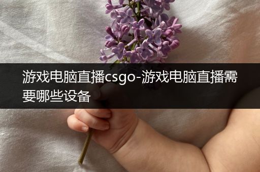 游戏电脑直播csgo-游戏电脑直播需要哪些设备