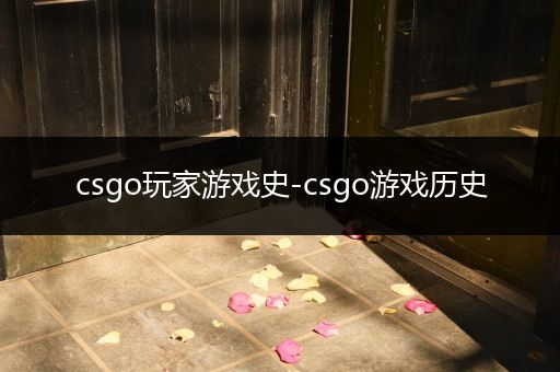 csgo玩家游戏史-csgo游戏历史