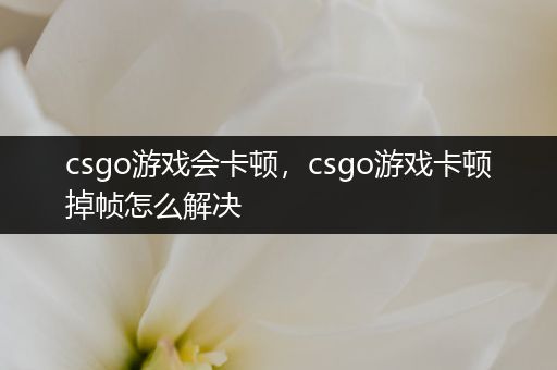 csgo游戏会卡顿，csgo游戏卡顿掉帧怎么解决