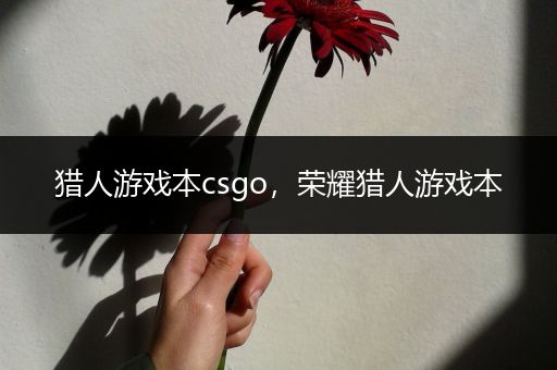 猎人游戏本csgo，荣耀猎人游戏本