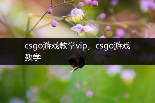 csgo游戏教学vip，csgo游戏教学