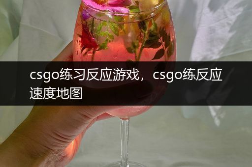 csgo练习反应游戏，csgo练反应速度地图