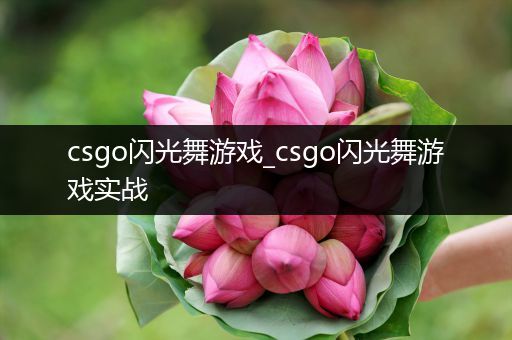 csgo闪光舞游戏_csgo闪光舞游戏实战