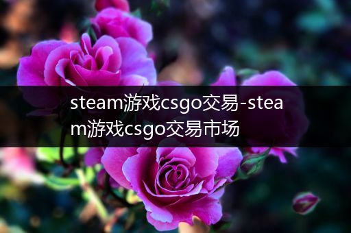 steam游戏csgo交易-steam游戏csgo交易市场