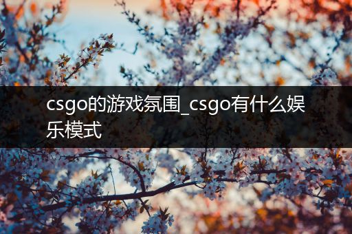 csgo的游戏氛围_csgo有什么娱乐模式