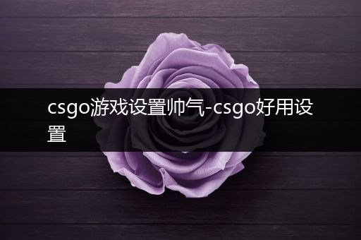 csgo游戏设置帅气-csgo好用设置