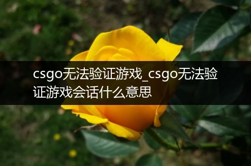 csgo无法验证游戏_csgo无法验证游戏会话什么意思