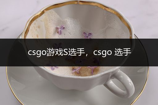 csgo游戏S选手，csgo 选手