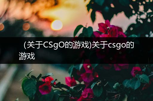 （关于CSgO的游戏)关于csgo的游戏