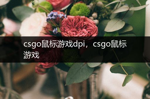 csgo鼠标游戏dpi，csgo鼠标游戏