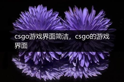 csgo游戏界面简洁，csgo的游戏界面