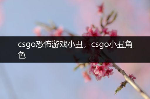 csgo恐怖游戏小丑，csgo小丑角色
