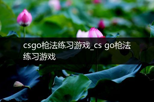 csgo枪法练习游戏_cs go枪法练习游戏