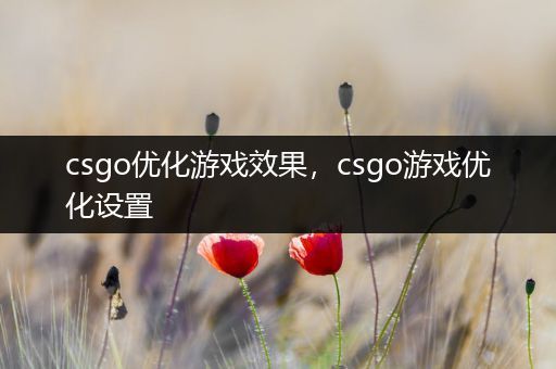 csgo优化游戏效果，csgo游戏优化设置