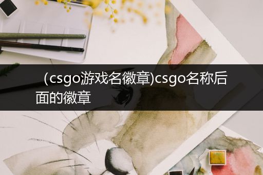 （csgo游戏名徽章)csgo名称后面的徽章