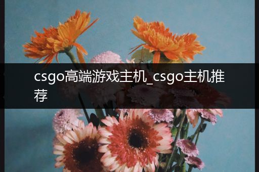 csgo高端游戏主机_csgo主机推荐