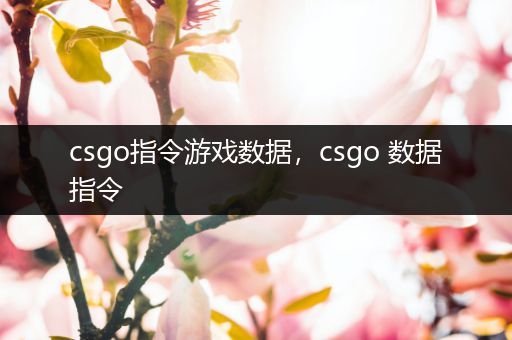 csgo指令游戏数据，csgo 数据指令