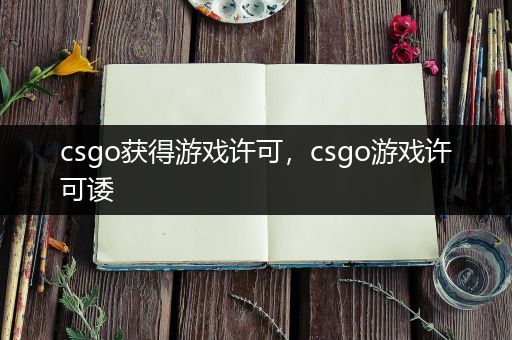 csgo获得游戏许可，csgo游戏许可诿