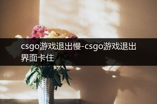 csgo游戏退出慢-csgo游戏退出界面卡住