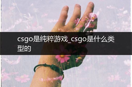 csgo是纯粹游戏_csgo是什么类型的