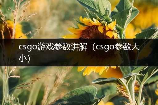 csgo游戏参数讲解（csgo参数大小）