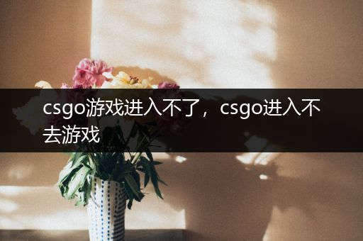 csgo游戏进入不了，csgo进入不去游戏