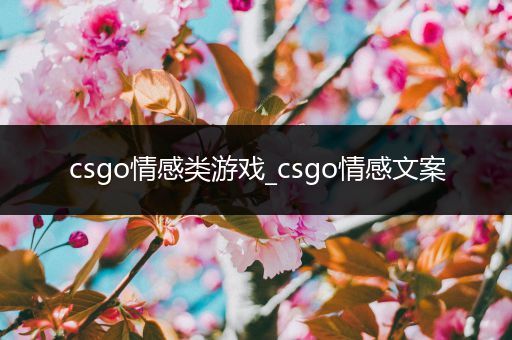 csgo情感类游戏_csgo情感文案