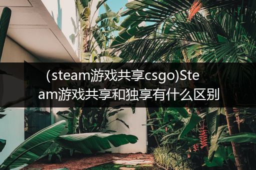 （steam游戏共享csgo)Steam游戏共享和独享有什么区别