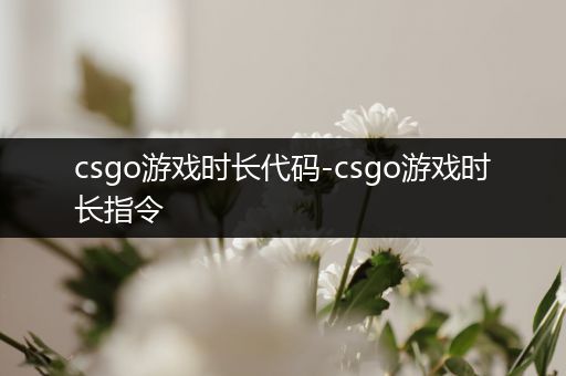 csgo游戏时长代码-csgo游戏时长指令