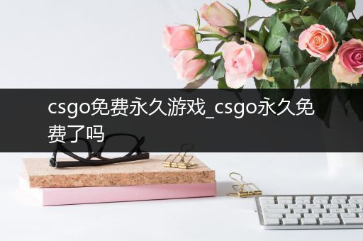 csgo免费永久游戏_csgo永久免费了吗