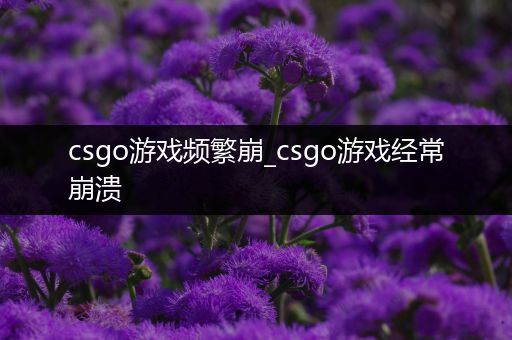 csgo游戏频繁崩_csgo游戏经常崩溃