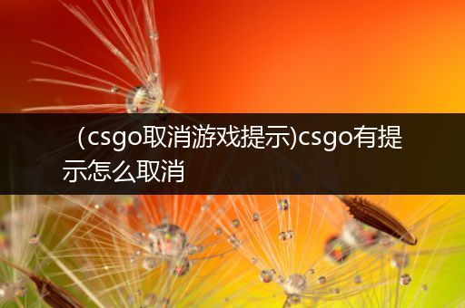 （csgo取消游戏提示)csgo有提示怎么取消