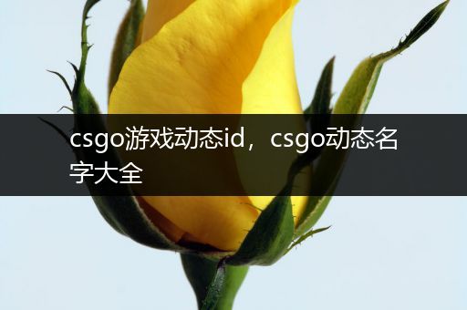 csgo游戏动态id，csgo动态名字大全