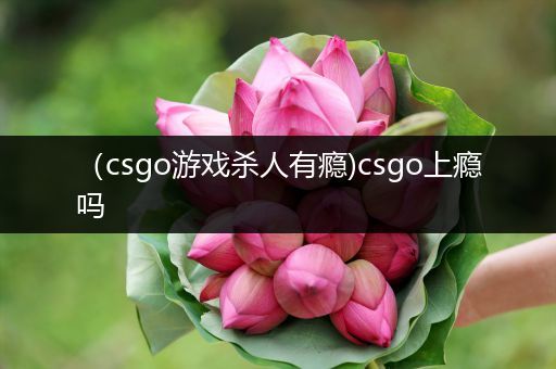 （csgo游戏杀人有瘾)csgo上瘾吗