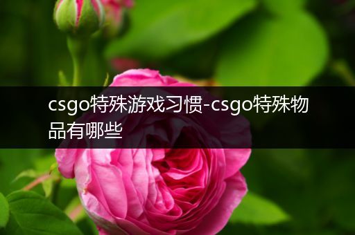 csgo特殊游戏习惯-csgo特殊物品有哪些