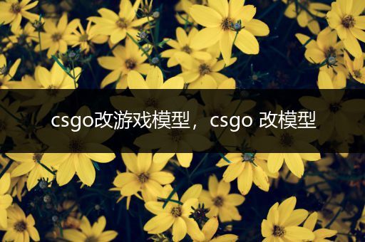 csgo改游戏模型，csgo 改模型