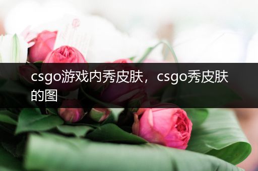 csgo游戏内秀皮肤，csgo秀皮肤的图
