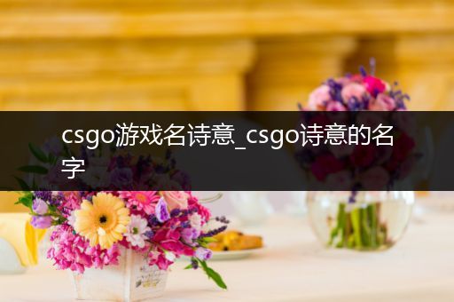 csgo游戏名诗意_csgo诗意的名字