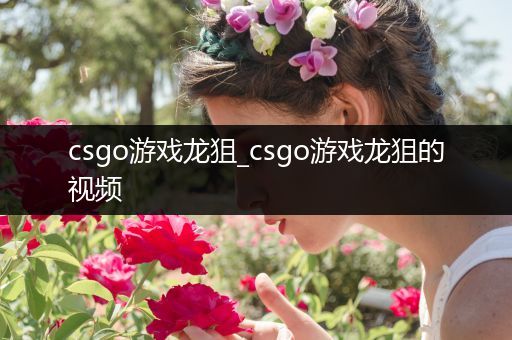 csgo游戏龙狙_csgo游戏龙狙的视频