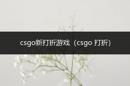 csgo新打折游戏（csgo 打折）