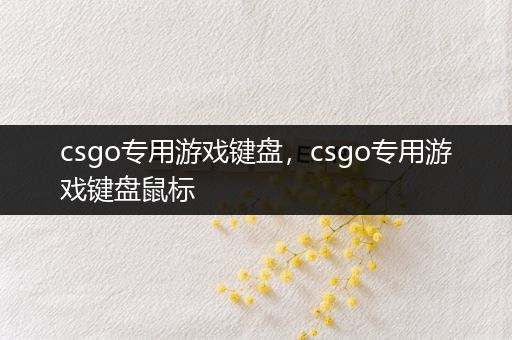 csgo专用游戏键盘，csgo专用游戏键盘鼠标